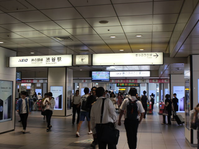 }[NVeC̒ɂwBD_dS̓aJw