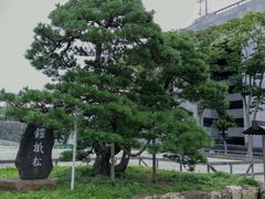 ̂˖т̉ƍNZ|ւ̓eʐ^1