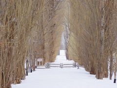 ikwssm̖k|v؂ւ̓eʐ^1