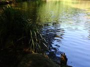 n񂳂̗cR`אƕ񎛑׏Ձ`̓eʐ^2