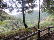 hakoneatami̗鎭̓eʐ^2