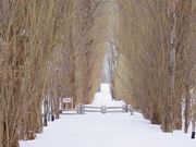 ikwssm̖k|v؂̓eʐ^1