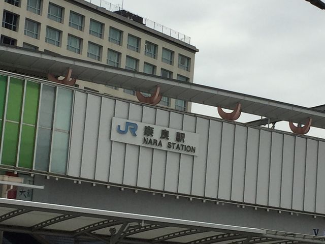 ����������������_�i�q�ޗǉw