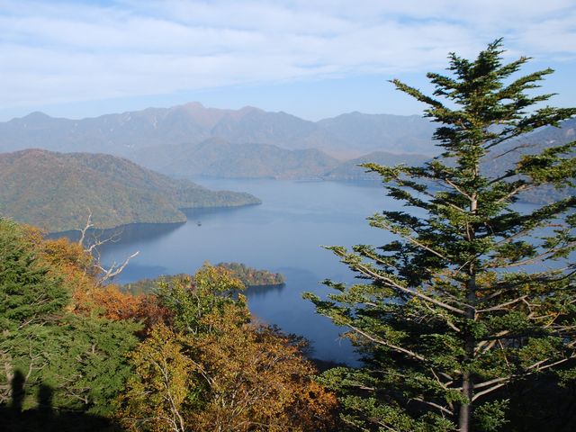 ���ԏꂩ�猩�����T����_�����R