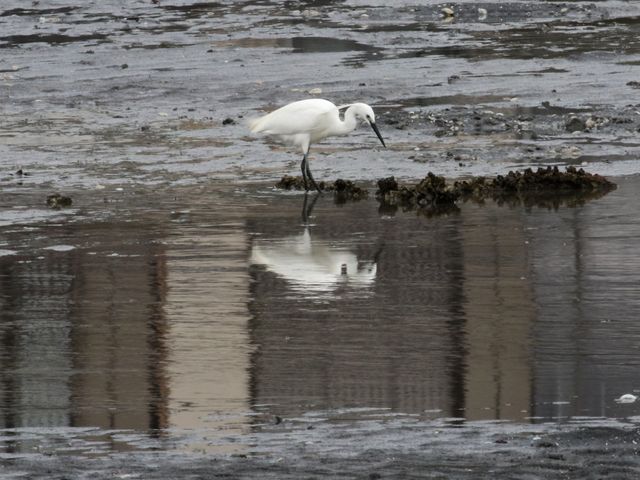 ������������_��`���C�݊����i���̒n