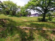 _ChKXg̍~RLvLvtB[hfndm̓eʐ^1