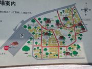 _ChKXg̍~RLvLvtB[hfndm̓eʐ^2