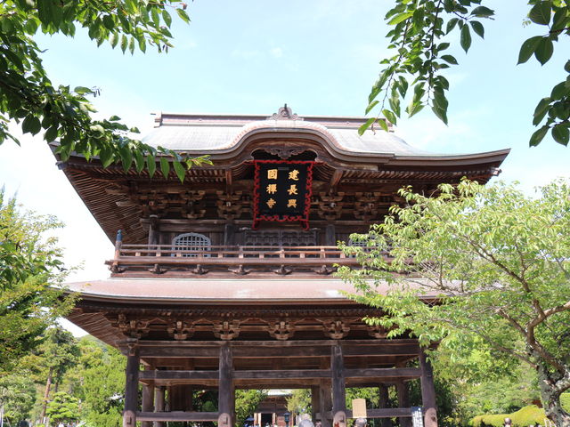 �������O��_�������O��