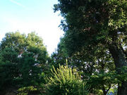 ͂邤炳̐l(wjՁj̓eʐ^1