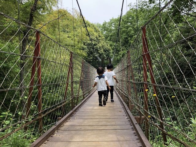 �݋�_�x�͕����R����