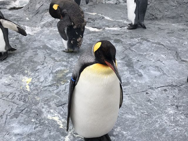 �y���M��_���R������