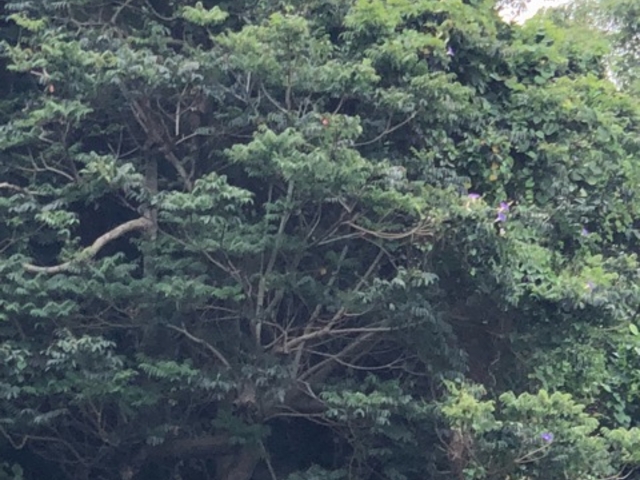 �厩�R_��͓��k�J���R����