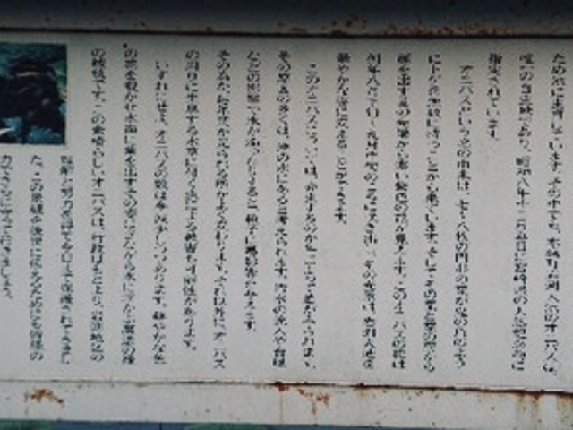 WbL[̃IjoXni⟺rj̓eʐ^1