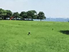 ݂񂳂̗Ս`p[Nւ̓eʐ^1