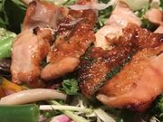 ́[т̑ˉ S֋X̓eʐ^1