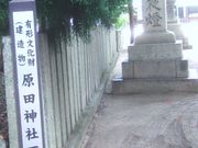 񂿂񂳂̌c_Ђ̓eʐ^1