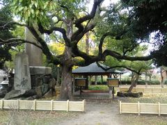 肻Ȃ̘@@lȔւ̓eʐ^1