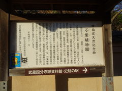 ^񂳂̖t뉀ւ̓eʐ^1