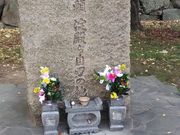 肻Ȃ̖LbGEa玩n̒n̔̓eʐ^1