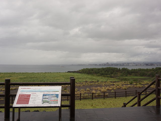 �C�������܂�_�Ԑ��W�]�L��