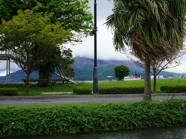 �������ڂ̑O�ɂ���܂�_�h���t�B���|�[�g