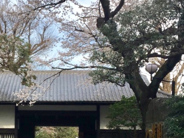 �Y��_���F��