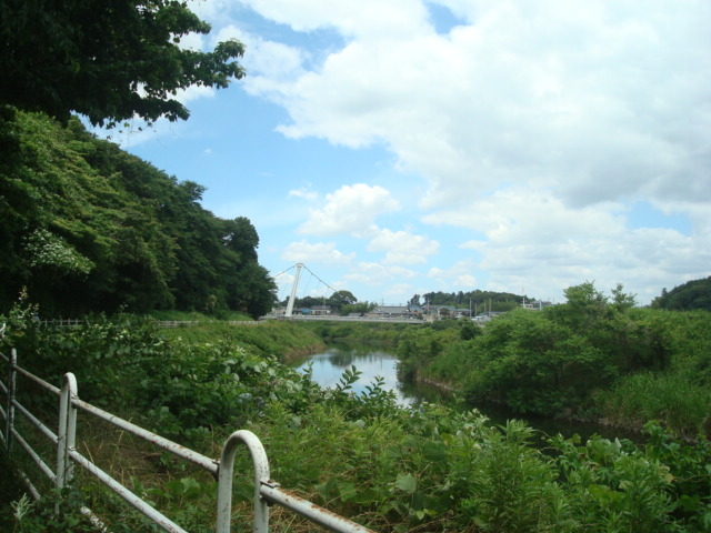 �땑������̋���_����