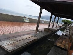 Ƃ񂳂̏l򑫓@قƂӂƂPOTւ̓eʐ^1