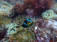 ̈ɓ_CrOXN[ gbcւ̓eʐ^2