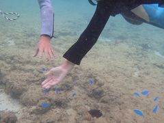 ҂̐̓A@Dive@ւ̓eʐ^1