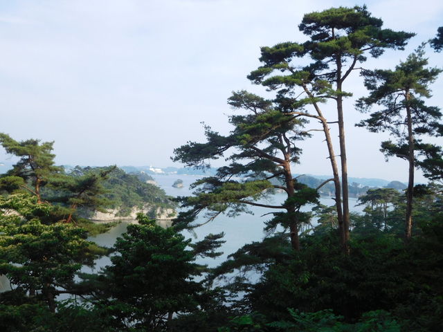 �V���Η͔��d�����ʂ�]�ށB�����炵�����i�ł��B_�n�̔w�i���ʖ��������j