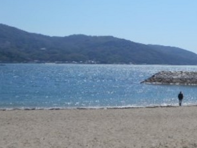 �r�[�`_�����r�[�`