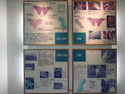 �˂�����̃A���~�n�r���ق̓��e�ʐ^3