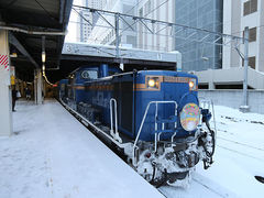 �K���}�����������V���b�N����̂i�q�D�y�w�ւ̓��e�ʐ^1