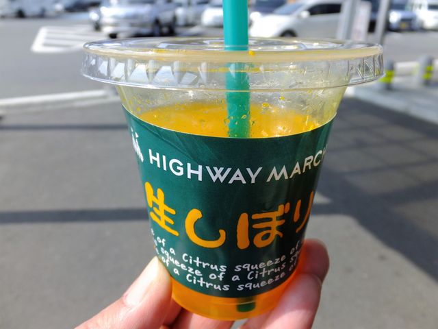 ɂ[B̐ΒȎRT[rXGAij̓eʐ^4