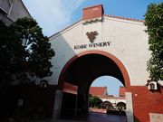 ̂̐_˃Ci[_ƌ̓eʐ^1