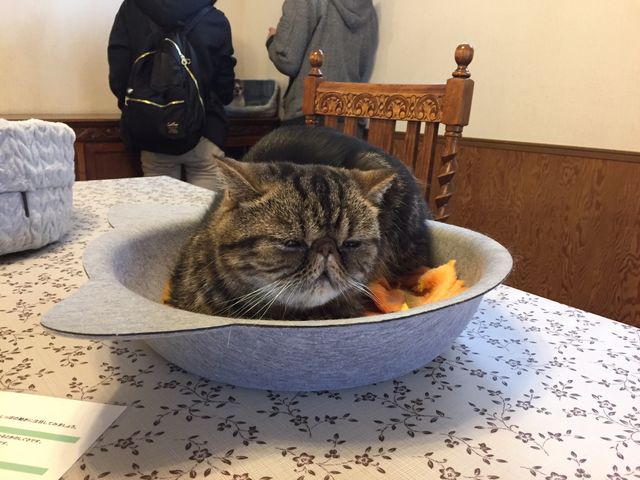 �L����ƂĂ���������_�x�m�T�t�@���p�[�N