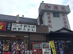 �_����̉������i�h���C�u�C���j�ւ̓��e�ʐ^1