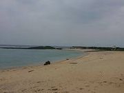 ���i����̔��l�̓��e�ʐ^1