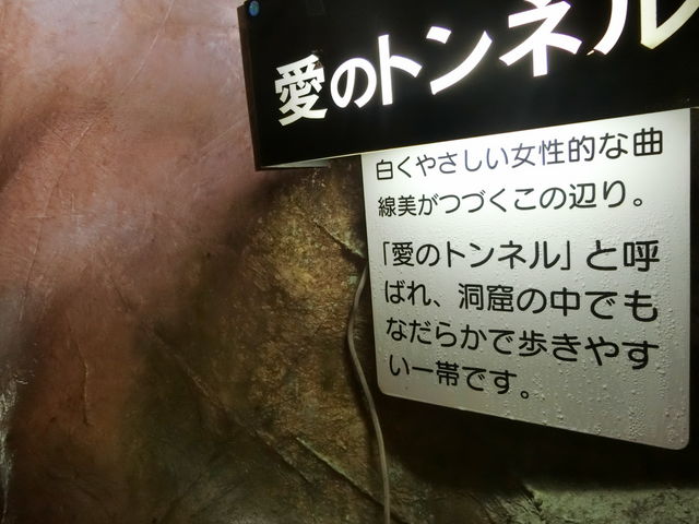 �S�㔪�� ���R�ߓ���