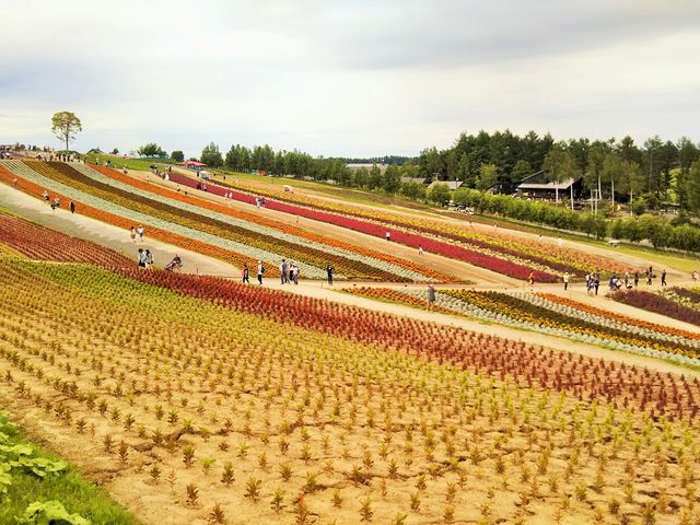 �l�G�ʂ̋u_�l�G�ʂ̋u