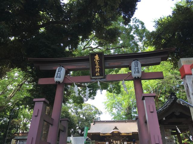 �Čw���ł���_���ꑽ�_��