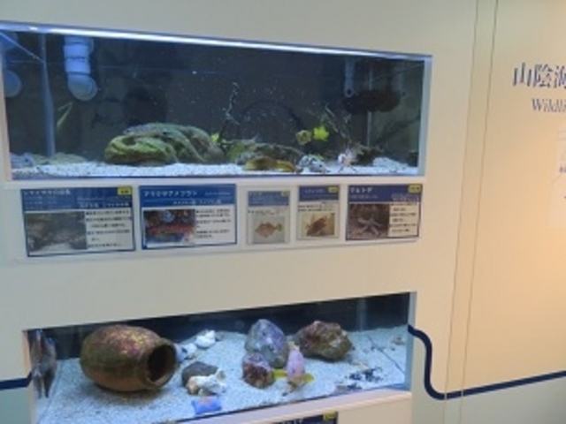 山陰海岸ジオパーク海と大地の自然館_山陰海岸ジオパーク海と大地の自然館