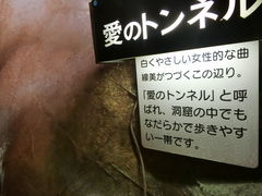 ���܂�����̌S�㔪�� ���R�ߓ����ւ̓��e�ʐ^1