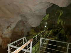 ���܂�����̌S�㔪�� ���R�ߓ����ւ̓��e�ʐ^1