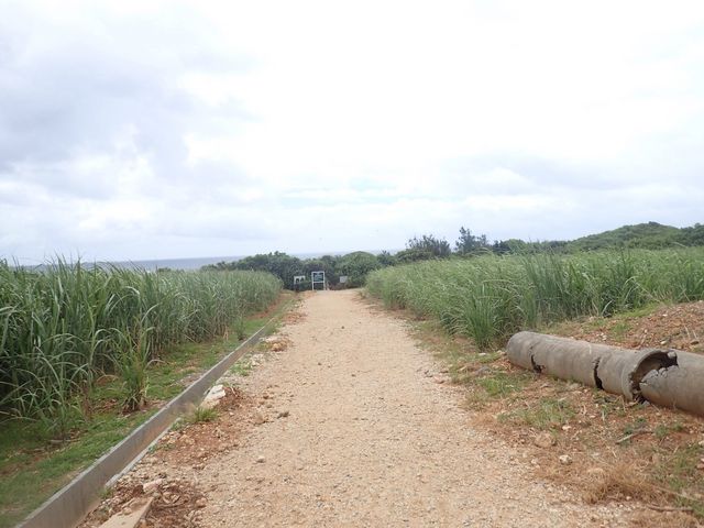 ܂łTChATgELrł_TgELr