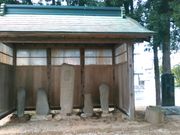 L^J̔(厡N)̓eʐ^1