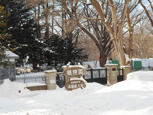 �~�̐A����_�k�C����w�A����