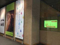 SKSY̑c݂pقւ̓eʐ^1