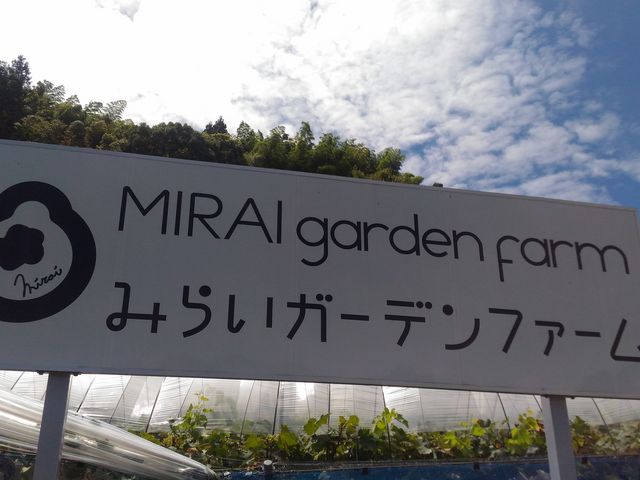 ���H�ɂ݂炢�K�[�f���̊��������Ă���̂ł�����ڈ�ɁI_�݂炢�K�[�f���t�@�[��